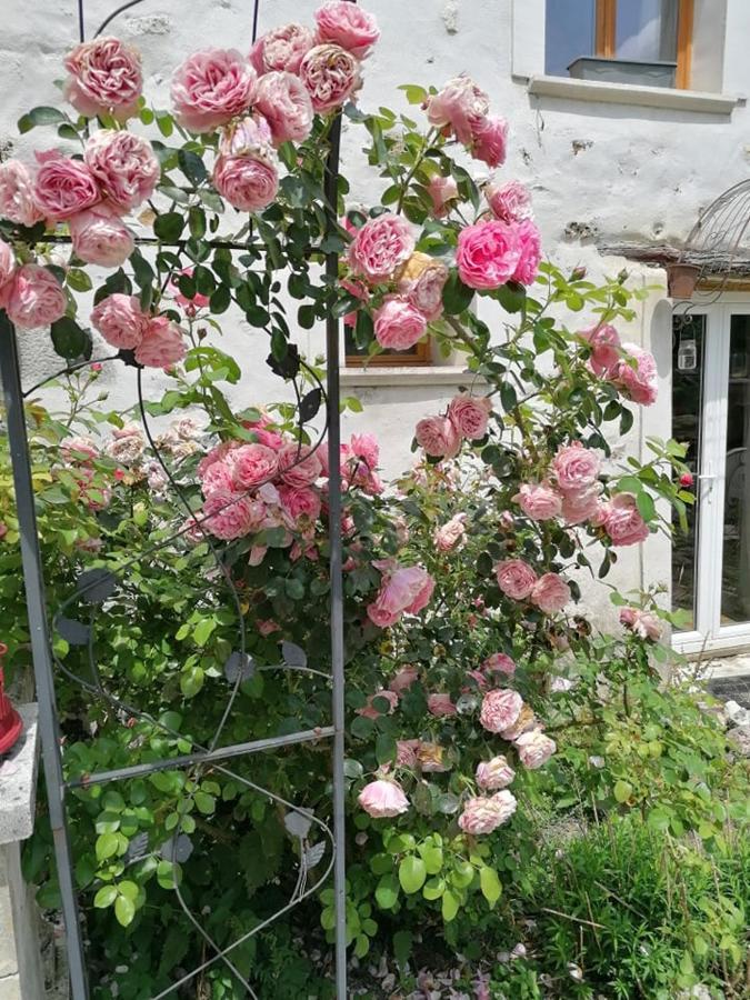 Hotellerie Jardiniers Gourmands Morsains Exterior photo